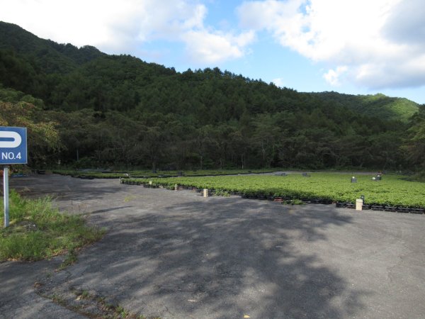 あららぎスキー場